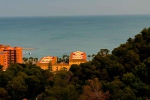 Málaga: Kiertokäynti mukavalla, modernilla, ekologisella ja solidaarisella sähköisellä tuk tukilla.