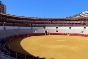 Malaga: Tour of Malagueta Bullring & Immersive Exhibition