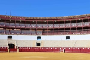 Malaga: Tour of Malagueta Bullring & Immersive Exhibition