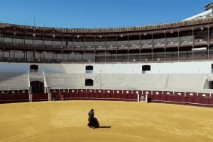 Malaga: Tour of Malagueta Bullring & Immersive Exhibition