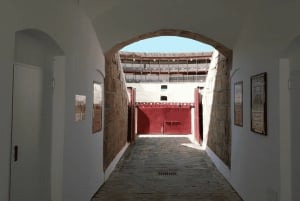 Malaga: Tour of Malagueta Bullring & Immersive Exhibition