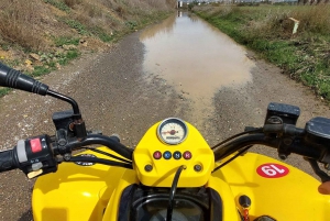 Málaga: Tour Off-Road 1-Hour Solo All-Terrain Quad Adventure