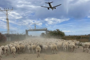 Málaga: Tour Off-Road 1-Hour Solo All-Terrain Quad Adventure