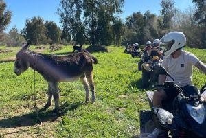 Málaga: Tour Off-Road 1 Uur Solo All-Terrain Quad Avontuur