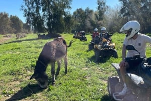 Málaga: Tour Off-Road 1 Uur Solo All-Terrain Quad Avontuur