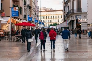 Malaga : Savourez des tapas andalouses et du vin dans la vieille ville