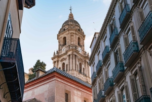 Málaga: Traditional Andalusian Tapas and Wine Tour