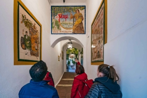 Málaga: Traditional Andalusian Tapas and Wine Tour