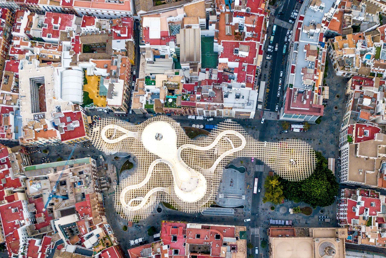 Malaga: Trip to Seville with a visit to the Cathedral