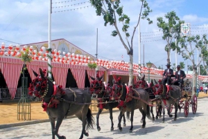 Malaga: Trip to Seville with a visit to the Cathedral