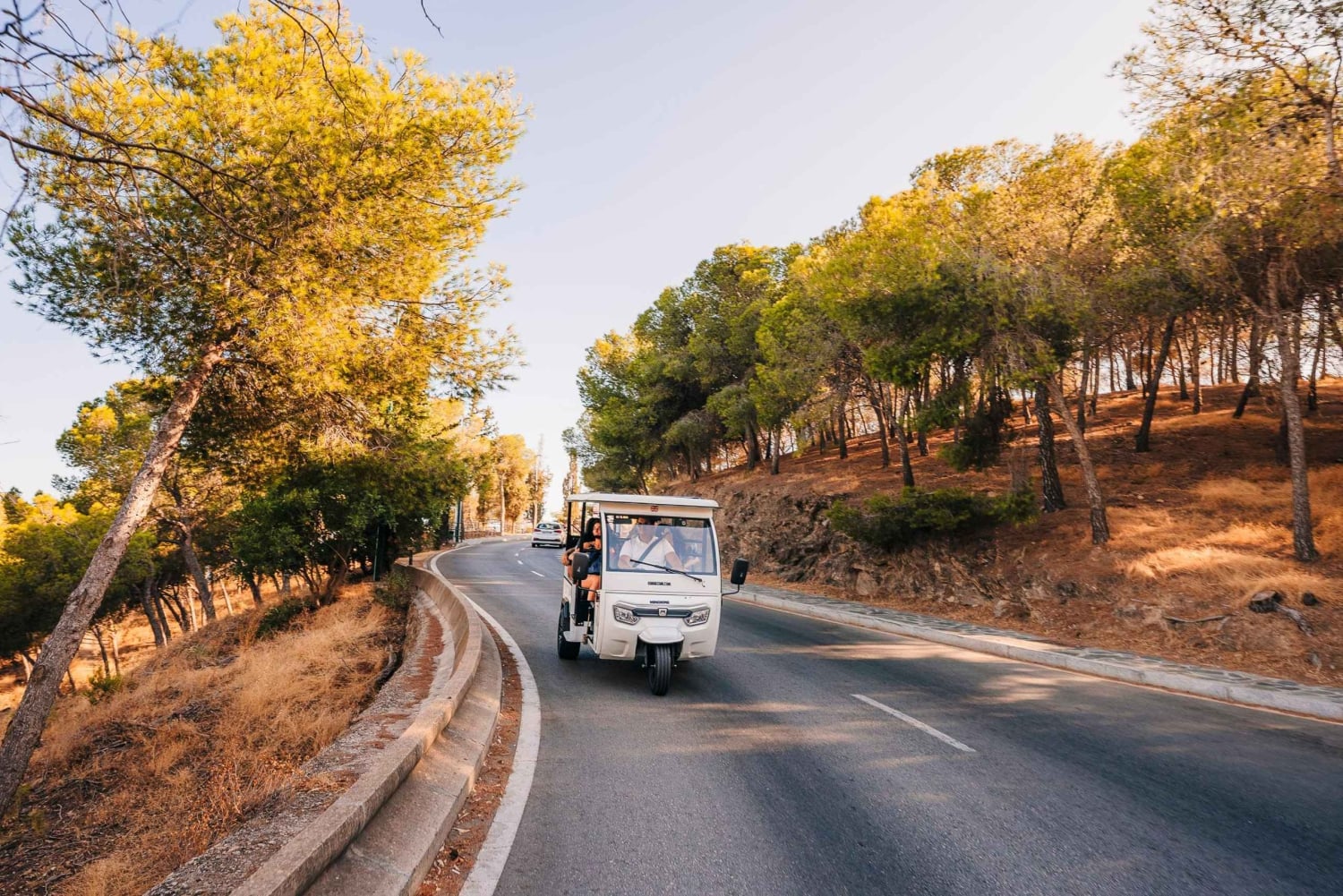Malaga tuk-tuk tour: awesome views and sardine skewers