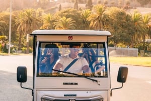 Tour en tuktuk por Málaga: impresionantes vistas y espeto de sardinas