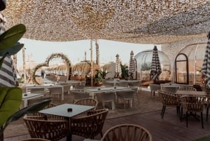 Malaga tuk-tuk tour: awesome views and sardine skewers