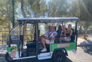 Malaga: Wycieczka tuk tukiem z degustacją potraw w restauracji El Pimpi