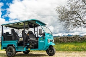 Malaga: Tuk tuk tour with gastronomic experience at El Pimpi
