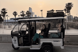 Malaga: Tuk tuk tour with gastronomic experience at El Pimpi