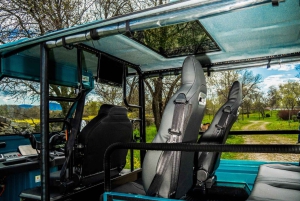 Malaga: Tuk tuk tour with gastronomic experience at El Pimpi