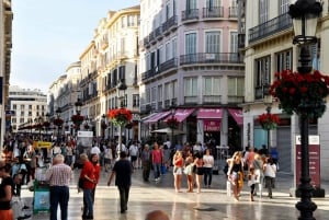 MALAGA: ULTIMATE FLAMENCO & TAPAS TOUR