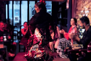 MALAGA: ULTIMATE FLAMENCO & TAPAS TOUR