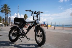 Malaga: Noleggio di Fatbike elettriche fino a 8 ore