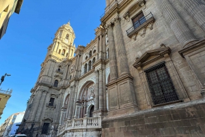 Malaga: tour a piedi e degustazione di vini naturali