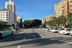 Malaga: stadsvandring och provsmakning av naturvin