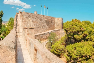 Malaga Walking Tour, Gibralfaro, Alcazaba & Catamaran Cruise