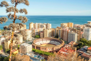 Malaga Walking Tour, Gibralfaro, Alcazaba & Catamaran Cruise