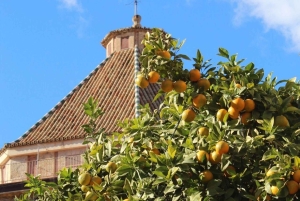 Málaga: Walking Tour of Secret Corners & Local Life