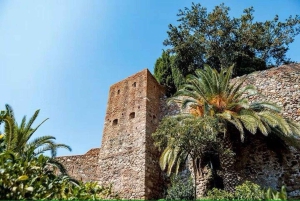 Malaga Walking Tour with Gibralfaro Castle & Alcazaba Visits