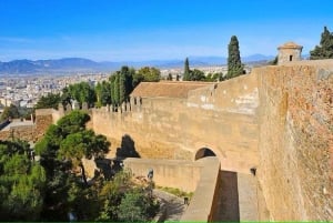 Malaga Walking Tour with Gibralfaro Castle & Alcazaba Visits