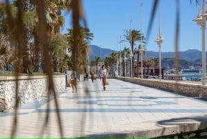 Malaga Walking Tour with Gibralfaro Castle & Alcazaba Visits