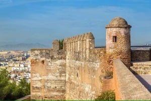 Malaga Walking Tour with Gibralfaro Castle & Alcazaba Visits