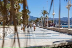 Malaga Walking Tour with Gibralfaro Castle & Alcazaba Visits