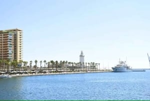 Malaga Walking Tour with Gibralfaro Castle & Alcazaba Visits