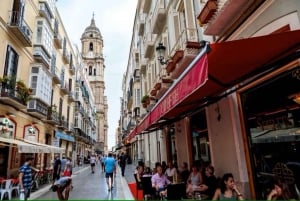 Malaga Walking Tour with Gibralfaro Castle & Alcazaba Visits