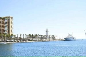 Malaga Walking Tour with Gibralfaro Castle & Alcazaba Visits