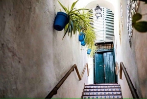 Malaga Walking Tour with Gibralfaro Castle & Alcazaba Visits