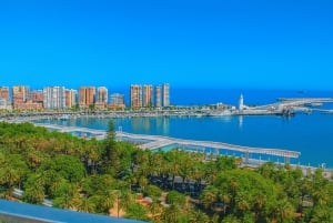 Málaga: Walking VIP Tour