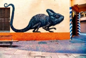 Málaga: Walking VIP Tour