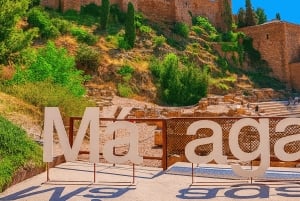 Málaga: Walking VIP Tour