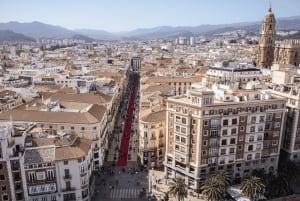 Málaga: Walking VIP Tour