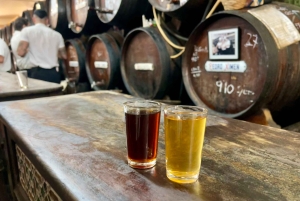 Málaga: Wine and Tapas Tour