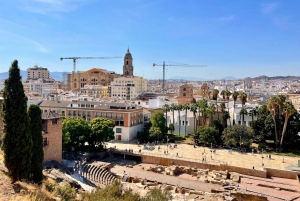 Málaga: Wine and Tapas Tour