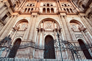 Málaga: Wine and Tapas Tour