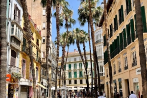 Málaga: Wine and Tapas Tour