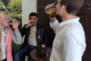 Malaga: guidad vintur