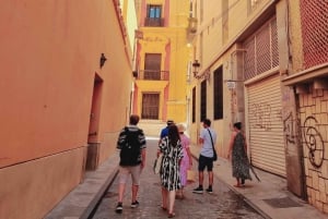 Málaga: Wine & Tapas Tour
