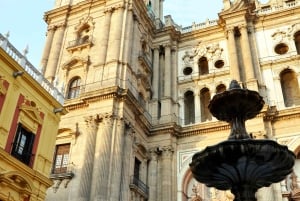 Málaga: Wine & Tapas Tour