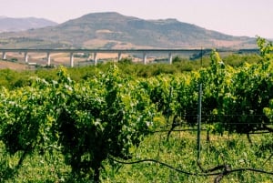 Malaga: Vintur | Hvid landsby, vingård og vinsmagning